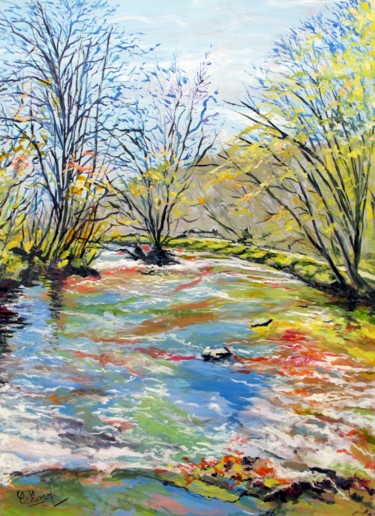 EAUX VIVES (rivière l'Aven à PONT-AVEN)