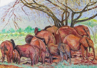 Le domaine des éléphants (réserve du Tsavo au Kenya)